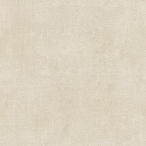 ベージュ コンクリート・モルタル 光触媒 消臭 抗菌 防かび SINCOL BB2402 