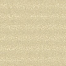 ベージュ 塗り壁調  防かび SINCOL BB2469 旧品番BB8601