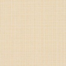 ベージュ 抽象デザイン  防かび SINCOL BB2630 旧品番BB8537