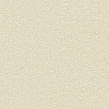 ベージュ 抽象デザイン  防かび  撥水 SINCOL BB2638 旧品番BB8567