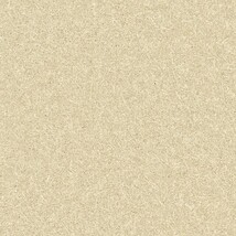グリーン 塗り壁調 光触媒 消臭 抗菌 防かび SINCOL BB2656 旧品番BB8584