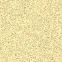 イエロー 塗り壁調 耐クラック 防かび 抗菌 撥水 SINCOL BB8281 旧品番BB9277