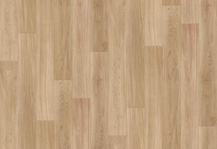 ライトブラウン ノンワックスコーティング+衝撃吸収＋抗菌+抗ウイルス+消臭+防かび 東リ CF3723 旧品番CF3519