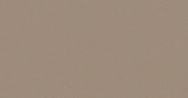 グレー ノンワックスコーティング+衝撃吸収＋抗菌+抗ウイルス+消臭+防かび 東リ CF3773 旧品番CF3575