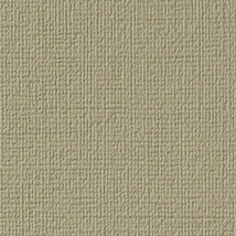 グリーン 塗り壁調 ウレタンコート 汚れ防止 表面強化 防かび  サンゲツ FE74610