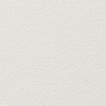 シャドーホワイト 塗り壁調 ウレタンコート 汚れ防止 表面強化 防かび  サンゲツ FE74618