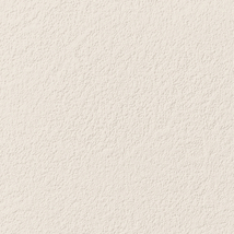 アイボリー 塗り壁調  防かび 抗菌 表面強化 撥水  サンゲツ FE74654