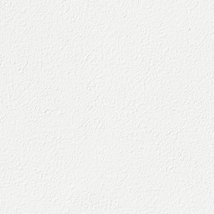 ホワイト 塗り壁調  抗ウィルス 抗菌 防かび 表面強化  サンゲツ FE74736