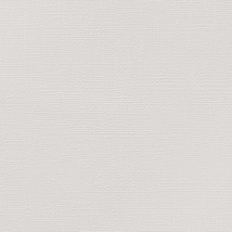 プロジェクター用壁紙 ライトアイボリー 塗り壁調 スーパー耐久性 汚れ防止 耐久 抗菌 表面強化 防かび サンゲツ Fe Wallfloor