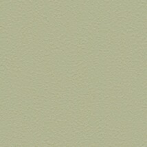グリーン 塗り壁調  防かび 抗菌 撥水  サンゲツ FE76031