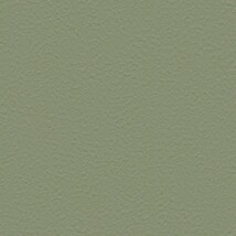 グリーン 塗り壁調  防かび 抗菌 撥水  サンゲツ FE76032