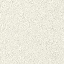 アイボリー 塗り壁調  防かび 抗菌 撥水  サンゲツ FE76086 旧品番FE74004