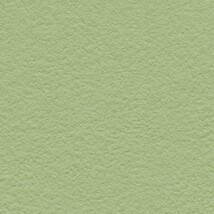グリーン 塗り壁調  防かび 抗菌 撥水  サンゲツ FE76089 