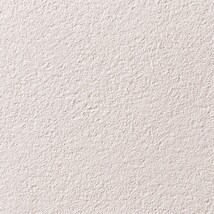 ベージュ 塗り壁調  汚れ防止 抗菌 防かび  サンゲツ FE76102 