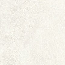 ホワイト 塗り壁調  防かび 抗菌 撥水  サンゲツ FE76125 