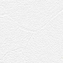 ホワイト 塗り壁調  防かび 抗菌 表面強化 撥水 消臭  サンゲツ FE76247 