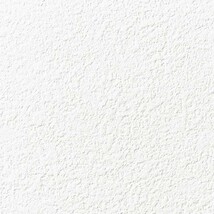 ホワイト 塗り壁調  防かび 抗菌 表面強化 撥水 消臭  サンゲツ FE76249 旧品番FE74656