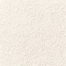 アイボリー 塗り壁調  防かび 抗菌 表面強化 撥水 消臭  サンゲツ FE76250 