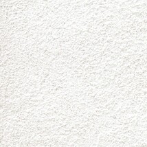 シャドーホワイト 塗り壁調  防かび 抗菌 表面強化 撥水  サンゲツ FE76253 