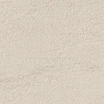 ベージュ 塗り壁調 ウレタンコート 防かび 抗菌 表面強化 撥水  サンゲツ FE76301 旧品番FE74624