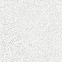 ホワイト 塗り壁調  抗ウィルス 抗菌 防かび  サンゲツ FE76313 旧品番FE74718