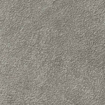 グレー 塗り壁調 スーパー耐久性 汚れ防止 耐久 抗菌 表面強化 防かび  サンゲツ FE76410 