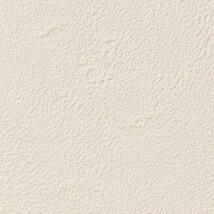 ベージュ 塗り壁調 スーパー耐久性 汚れ防止 耐久 抗菌 表面強化 防かび  サンゲツ FE76429 