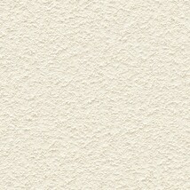 シャドーホワイト 塗り壁調  調湿効果 防かび  サンゲツ FE76553 