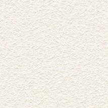 シャドーホワイト 塗り壁調  調湿効果 防かび  サンゲツ FE78218 旧品番FE76553