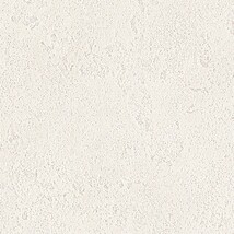 シャドーホワイト 塗り壁調 ウレタンコート 防かび 抗菌 表面強化 撥水  サンゲツ FE78283 
