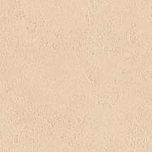 ベージュ 塗り壁調 ウレタンコート 防かび 抗菌 表面強化 撥水  サンゲツ FE78291 