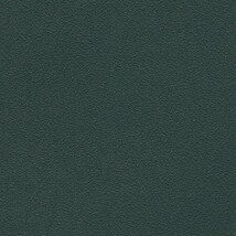 グリーン 塗り壁調 スーパー耐久性 汚れ防止 耐久 抗菌 表面強化 防かび  サンゲツ FE78326 旧品番FE76124