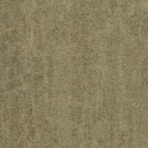 グリーン 塗り壁調  防かび 抗菌 撥水  サンゲツ FE78378 旧品番FE76135