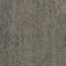 スモークブラック 塗り壁調  防かび 抗菌 撥水  サンゲツ FE78379 旧品番FE76136