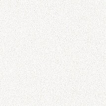 ホワイト 塗り壁調  防かび 抗菌  サンゲツ FE78381 旧品番FE76143
