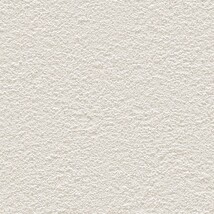 ライトグレー 塗り壁調  防かび 抗菌 表面強化 撥水 消臭  サンゲツ FE78403 旧品番FE76240