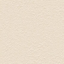 ベージュ 塗り壁調  防かび 抗菌 表面強化 撥水 消臭  サンゲツ FE78410 旧品番FE76238