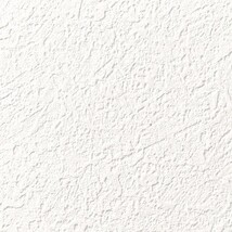 ホワイト 塗り壁調  防かび 抗菌 表面強化 撥水 消臭  サンゲツ FE78421 旧品番FE76245