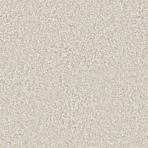 グレー 塗り壁調  防かび 抗菌 表面強化 撥水  サンゲツ FE78436 