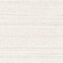 ベージュ 織物調  防かび 抗菌 表面強化 撥水 消臭  サンゲツ FE78473 旧品番FE76273