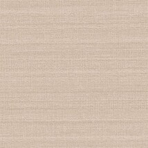 ライトブラウン 織物調  防かび 抗菌 表面強化 撥水 消臭  サンゲツ FE78475 旧品番FE76275