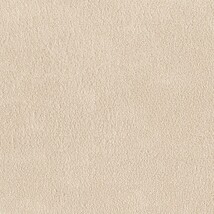 ライトグレー 塗り壁調 スーパー耐久性 汚れ防止 耐久 抗菌 表面強化 防かび  サンゲツ FE78561 