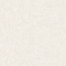 ライトグレー 塗り壁調  防かび 抗菌 吸放湿   サンゲツ FE78581 