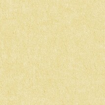 イエロー 塗り壁調  防かび 抗菌 吸放湿   サンゲツ FE78586 