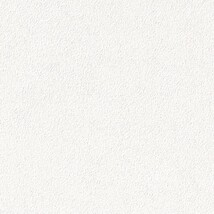 シャドーホワイト 塗り壁調  抗菌 表面強化 防かび  サンゲツ FE78612 旧品番FE76482