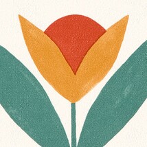 オレンジ 北欧デザイン  防かび 抗菌  サンゲツ FE78647 