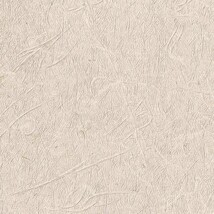 ベージュ 抽象デザイン ウレタンコート 表面強化 防かび  サンゲツ FE78782 旧品番FE76520