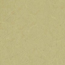 グリーン 抽象デザイン ウレタンコート 表面強化 防かび  サンゲツ FE78784 旧品番FE76521