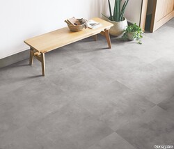 カラメル1 colorboardplus_silvergrey3060-