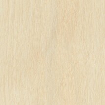 ライトブラウン ノンワックスコーティング+衝撃吸収＋抗菌+抗ウイルス+消臭 サンゲツ KUC-2405 